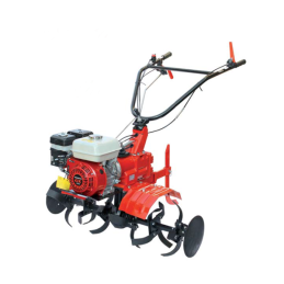 Motoenxada EURO 102 GX-200